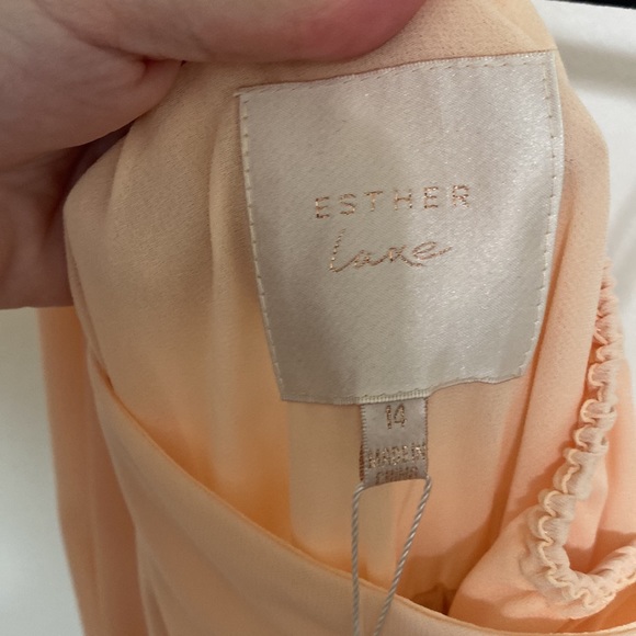 Esther luxe Amaryllis dress- soft peach. Size 14. NWT - Picture 7 of 7
